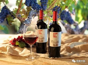 鐘愛葡萄酒的你,一定不會錯過這些國際葡萄品種