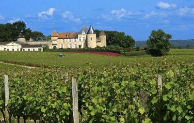 法國(guó)葡萄酒莊參觀考察:世界著名的葡萄酒產(chǎn)地